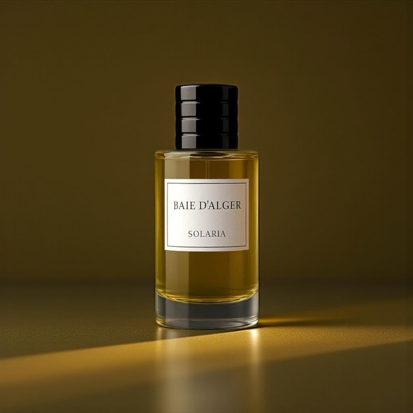 img_8603 Baie d’Alger - Image 1